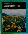 高山植物の一年