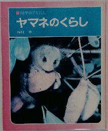 ヤマネのくらし
