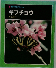 ギフチョウ
