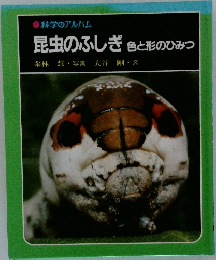 昆虫のふしぎ　色と形のひみつ