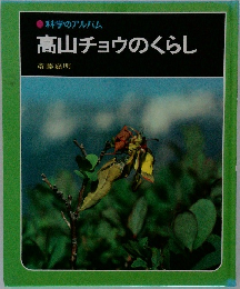 高山チョウのくらし