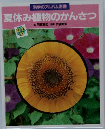 夏休み植物のかんさつ