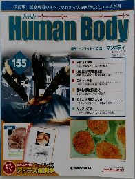週刊インサイド・ヒューマンボディ　155　2008年2/19号
