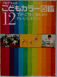 プログラム式  こどもカラー図鑑  12　「ずが • こうさく • おんがく • たいいく • かてい」