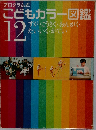プログラム式  こどもカラー図鑑  12　「ずが • こうさく • おんがく • たいいく • かてい」