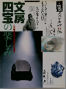 季刊墨スペシャル　26