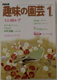 趣味の園芸　1月号