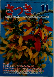 さつき研究　1981/11