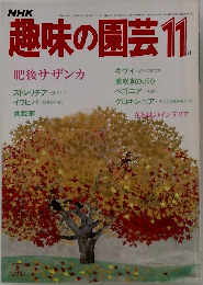NHK趣味の園芸 11月号  肥後サザンカ