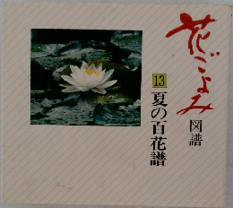 花ごよみ図譜 13 夏の百花譜