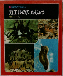 カエルのたんじょう