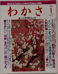 わかさ　1995年1月号