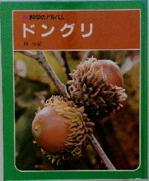 科学のアルバム　ドングリ
