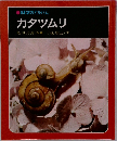 科学のアルバム　カタツムリ