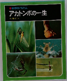 アカトンボの一生