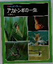 アカトンボの一生