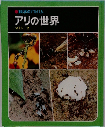 アリの世界