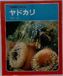 科学のアルバム　ヤドカリ