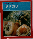科学のアルバム　ヤドカリ