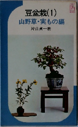 豆盆栽(1)　山野草・実もの編