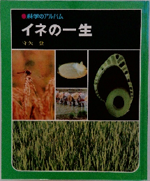科学のアルバム　イネの一生　守矢 登