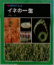 科学のアルバム　イネの一生　守矢 登