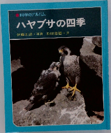 ハヤブサの四季