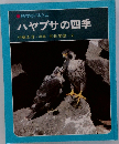 ハヤブサの四季
