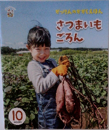 さつまいもごろん　10