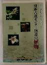 熊野古道センター周辺の植物