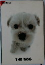 Maltese  THE DOG