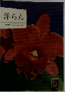 洋らん