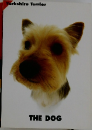 THE DOG