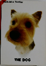 THE DOG