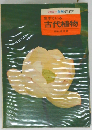 生きている古代植物 (カラー自然ガイド)