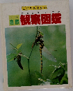 自然観察図鑑