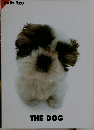 THE　DOG