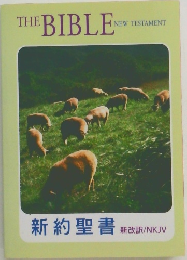新約聖書　THE BIBLE  NEW TESTAMENT