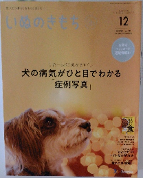 いぬのきもち　2022年12月号　Vol.247