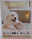いぬのきもち　2019年10月号