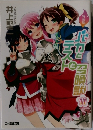 特装版 バカとテストと召喚獣11
