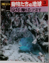 朝日百科 動物たちの地球 3  逃げる・隠れる・だます