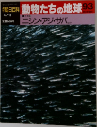朝日百科　動物たちの地球　93　ニシン・アジ・サバ