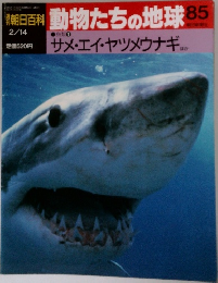 朝日百科 動物たちの地球 85