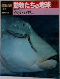 朝日百科　動物たちの地球92　ベラ ・ハゼ ほか