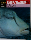 朝日百科　動物たちの地球92　ベラ ・ハゼ ほか