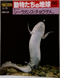 朝日百科　動物たちの地球86