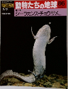 朝日百科　動物たちの地球86