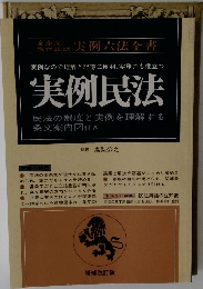 実例六法全書  実例なので理解と記憶に便利、実務にも役立つ  実例民法