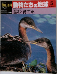 朝日百科 動物たちの地球 5